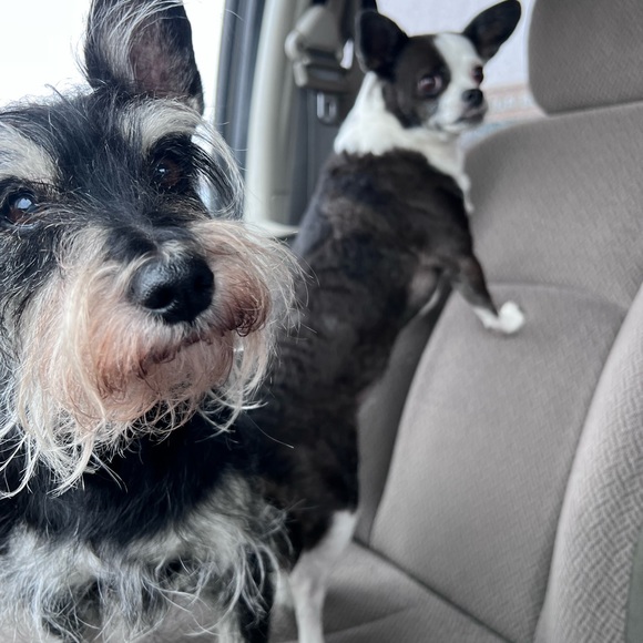 Hello, it’s Jenna and Lari! Thanks for stopping by!! - Picture 8 of 13